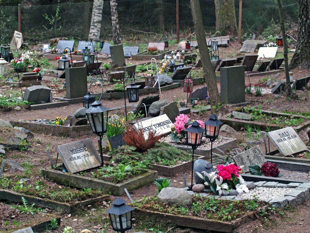 Pudel auf dem Tierfriedhof begraben